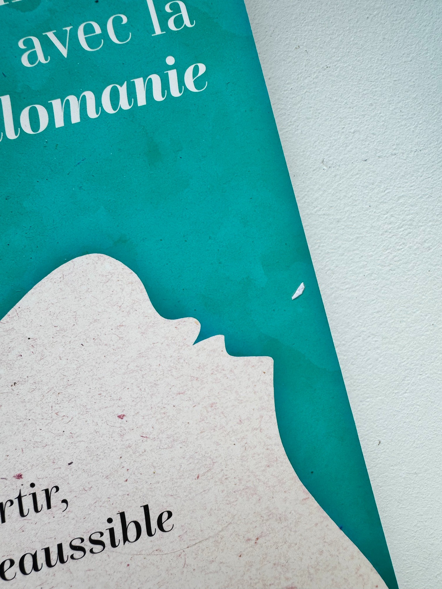 Livre Mon histoire avec la dermatillomanie, petit éclat blanc sur la couverture